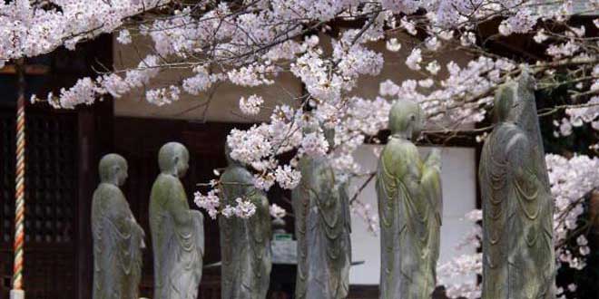 茨城県のお仏壇の洗浄・修理・お洗濯