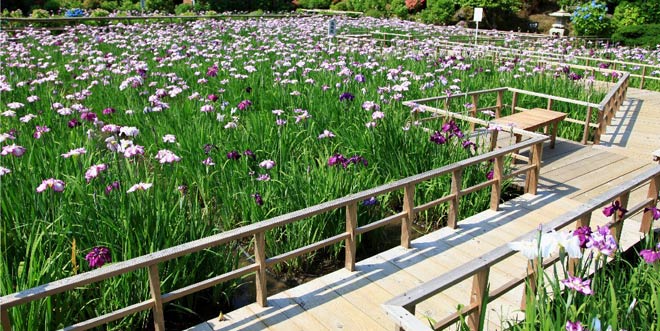 福井県のお仏壇の洗浄・修理・お洗濯