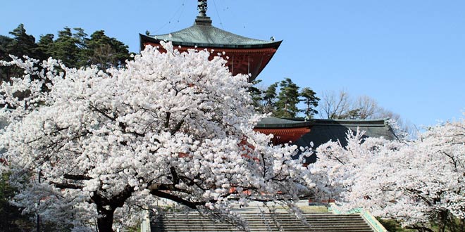 長野県のお仏壇の洗浄・修理・お洗濯