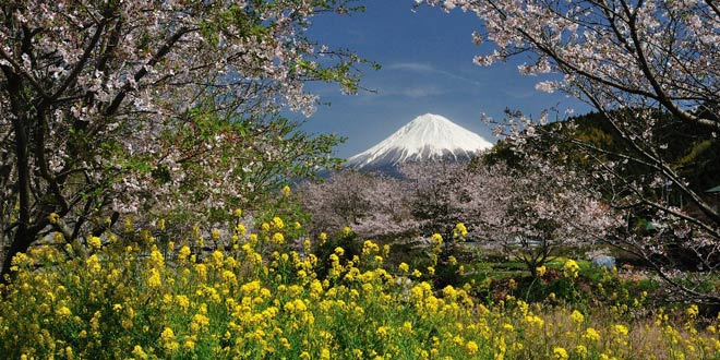 静岡県のお仏壇の洗浄・修理・お洗濯