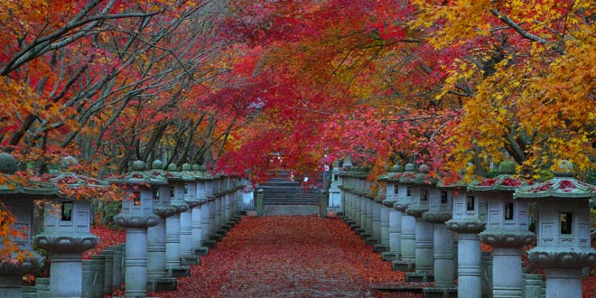 兵庫県のお仏壇の洗浄・修理・お洗濯