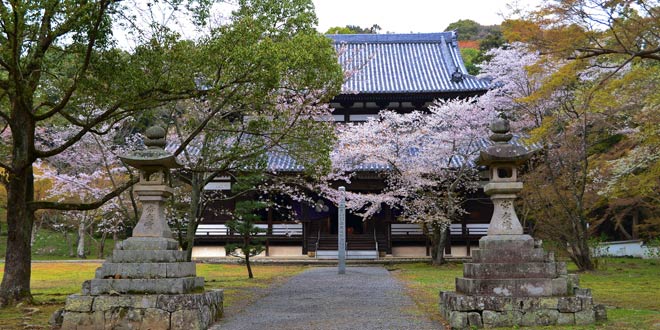 和歌山県のお仏壇の洗浄・修理・お洗濯